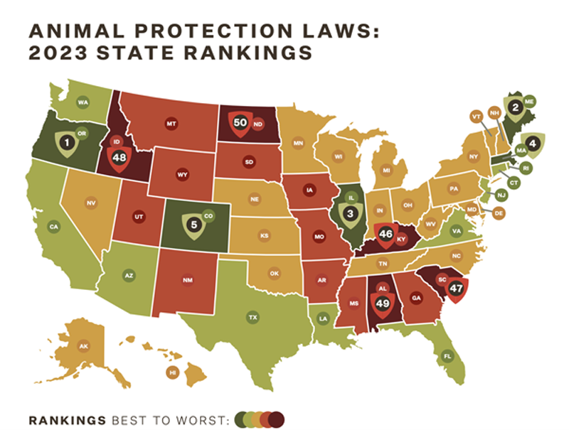 Animal Legal Defense Fund - National Great Pyrenees Rescue